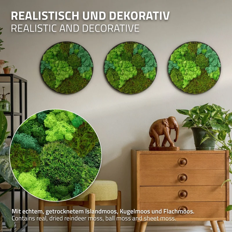 ECD GERMANY | Moosbild mit echtem Kugel-, Island- und Flachmoos-Mix Rund Ø 40 cm Grün Mooswand Indoor Wanddeko Holzrahmen Wandbild für Haus Büro