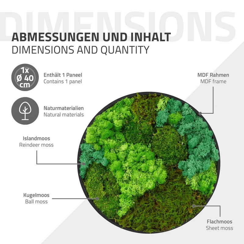 ECD GERMANY | Moosbild mit echtem Kugel-, Island- und Flachmoos-Mix Rund Ø 40 cm Grün Mooswand Indoor Wanddeko Holzrahmen Wandbild für Haus Büro