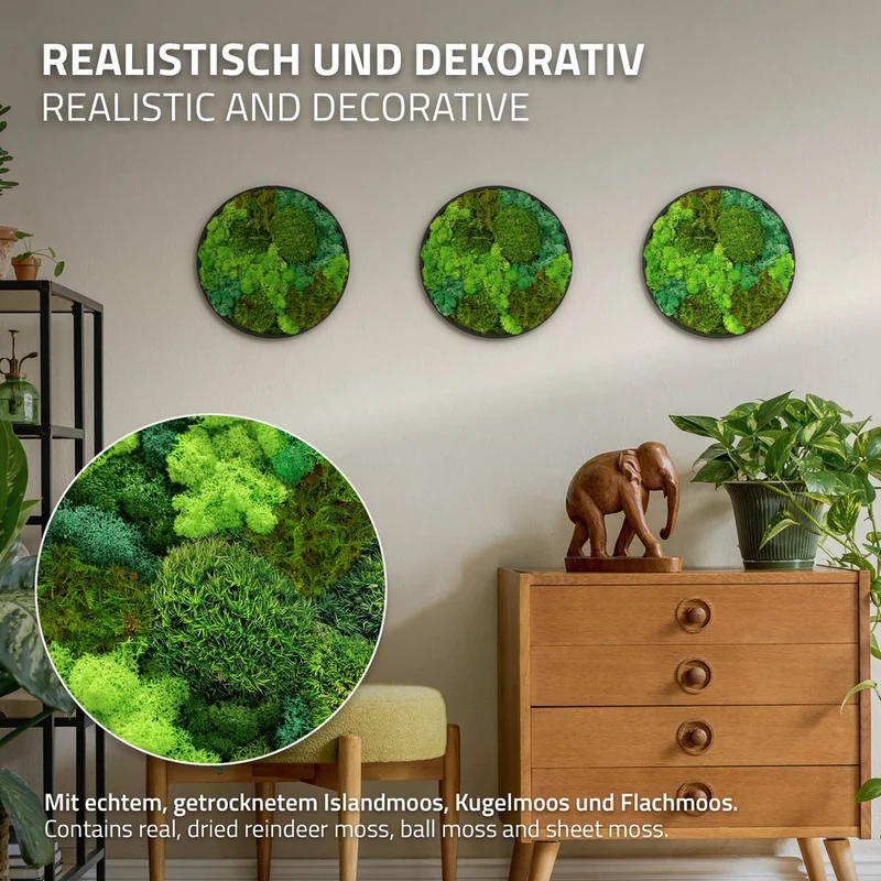 ECD GERMANY | Moosbild mit echtem Kugel-, Island- und Flachmoos-Mix Rund Ø 30 cm Grün Mooswand Indoor Wanddeko Holzrahmen Wandbild für Haus Büro