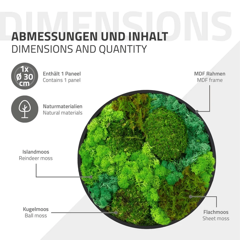 ECD GERMANY | Moosbild mit echtem Kugel-, Island- und Flachmoos-Mix Rund Ø 30 cm Grün Mooswand Indoor Wanddeko Holzrahmen Wandbild für Haus Büro