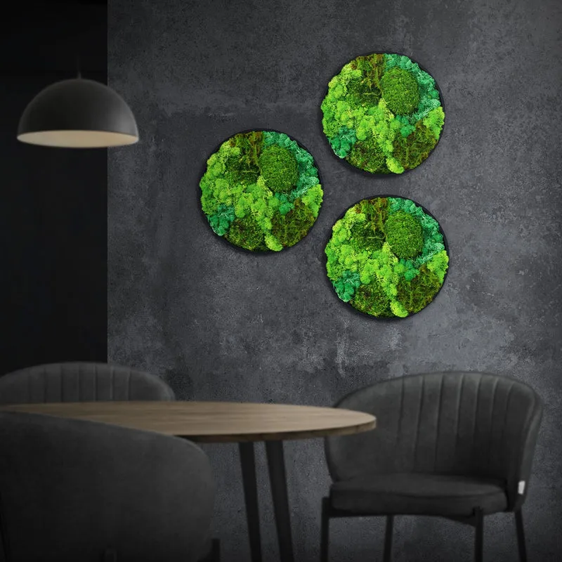 ECD GERMANY | Moosbild mit echtem Kugel-, Island- und Flachmoos-Mix Rund Ø 30 cm Grün Mooswand Indoor Wanddeko Holzrahmen Wandbild für Haus Büro