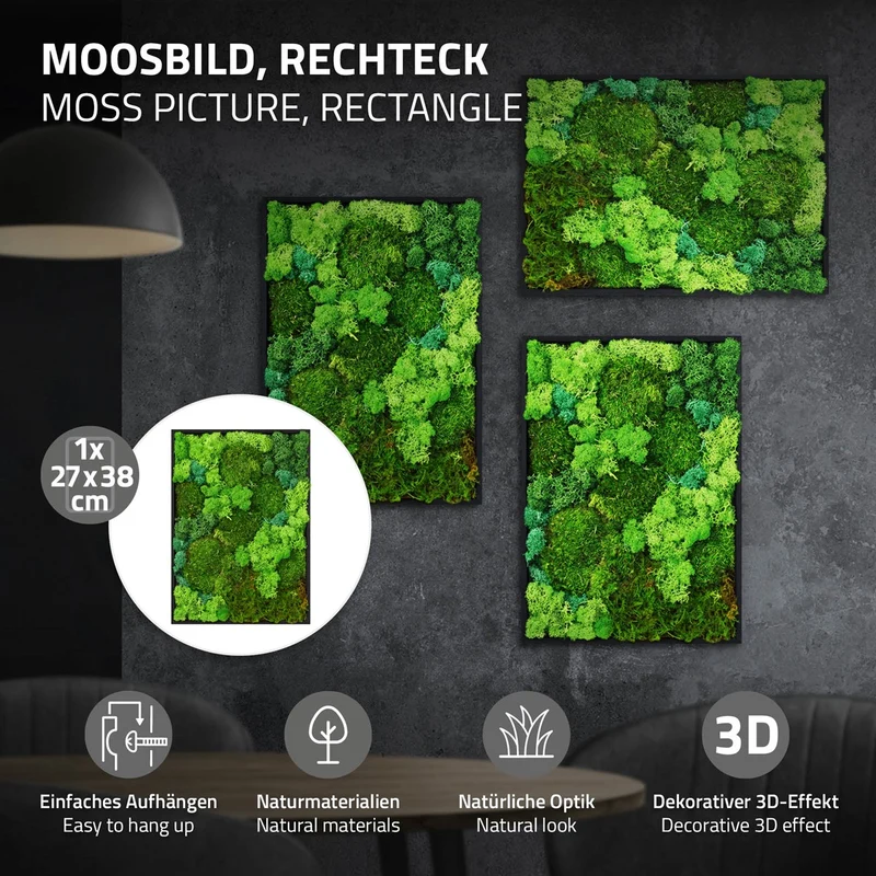 ECD GERMANY | Moosbild mit echtem Kugel-, Island- und Flachmoos-Mix Rechteck 38x27 cm Grün Mooswand Indoor Wanddeko Holzrahmen Wandbild für Haus Büro