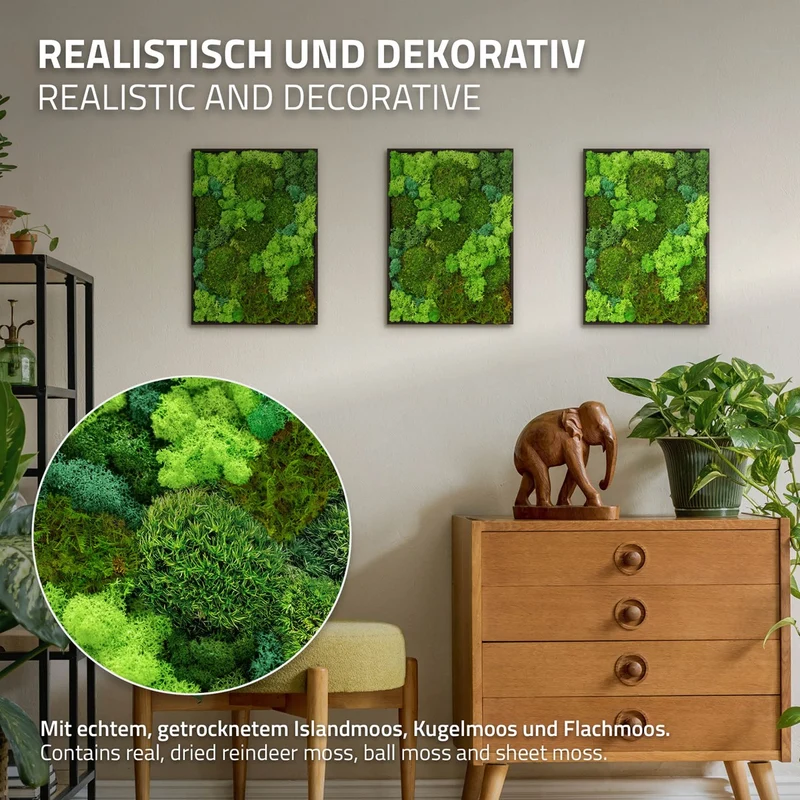 ECD GERMANY | Moosbild mit echtem Kugel-, Island- und Flachmoos-Mix Rechteck 38x27 cm Grün Mooswand Indoor Wanddeko Holzrahmen Wandbild für Haus Büro