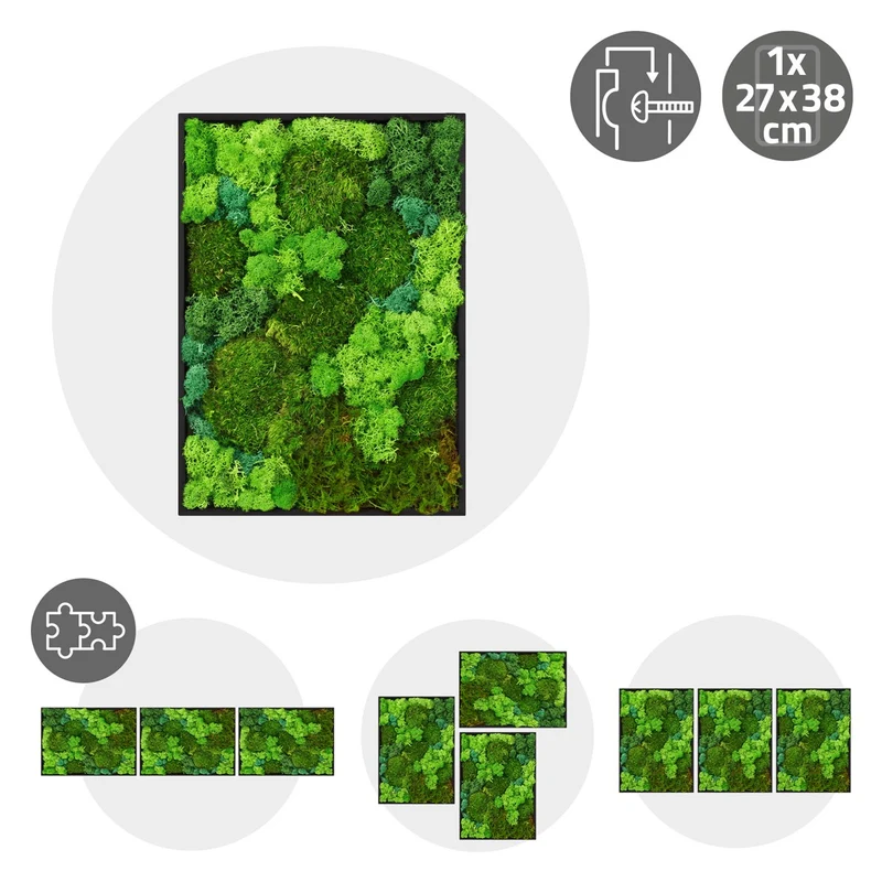 ECD GERMANY | Moosbild mit echtem Kugel-, Island- und Flachmoos-Mix Rechteck 38x27 cm Grün Mooswand Indoor Wanddeko Holzrahmen Wandbild für Haus Büro