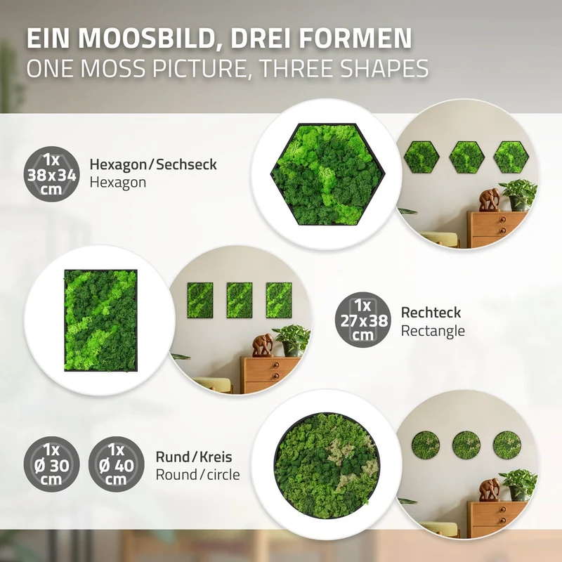 ECD GERMANY | Moosbild mit echtem Islandmoos, Rechteck, 38x27 cm, Grün, Mooswand Indoor, Wanddeko mit Holzrahmen, Wandbild, Moos Deko für Haus & Büro