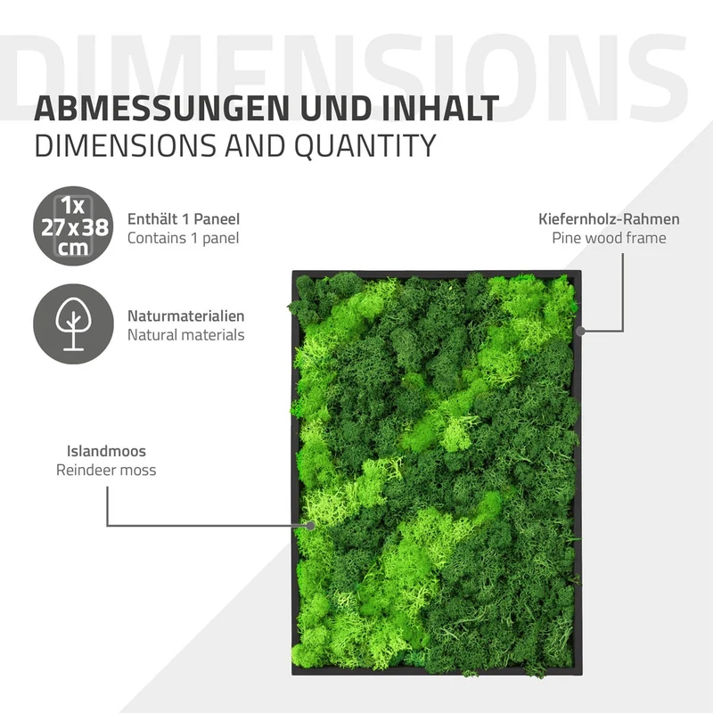ECD GERMANY | Moosbild mit echtem Islandmoos, Rechteck, 38x27 cm, Grün, Mooswand Indoor, Wanddeko mit Holzrahmen, Wandbild, Moos Deko für Haus & Büro