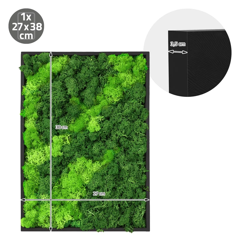 ECD GERMANY | Moosbild mit echtem Islandmoos, Rechteck, 38x27 cm, Grün, Mooswand Indoor, Wanddeko mit Holzrahmen, Wandbild, Moos Deko für Haus & Büro