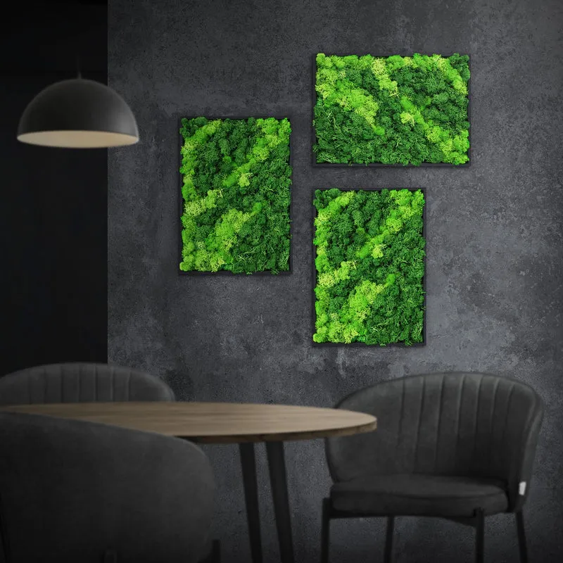 ECD GERMANY | Moosbild mit echtem Islandmoos, Rechteck, 38x27 cm, Grün, Mooswand Indoor, Wanddeko mit Holzrahmen, Wandbild, Moos Deko für Haus & Büro