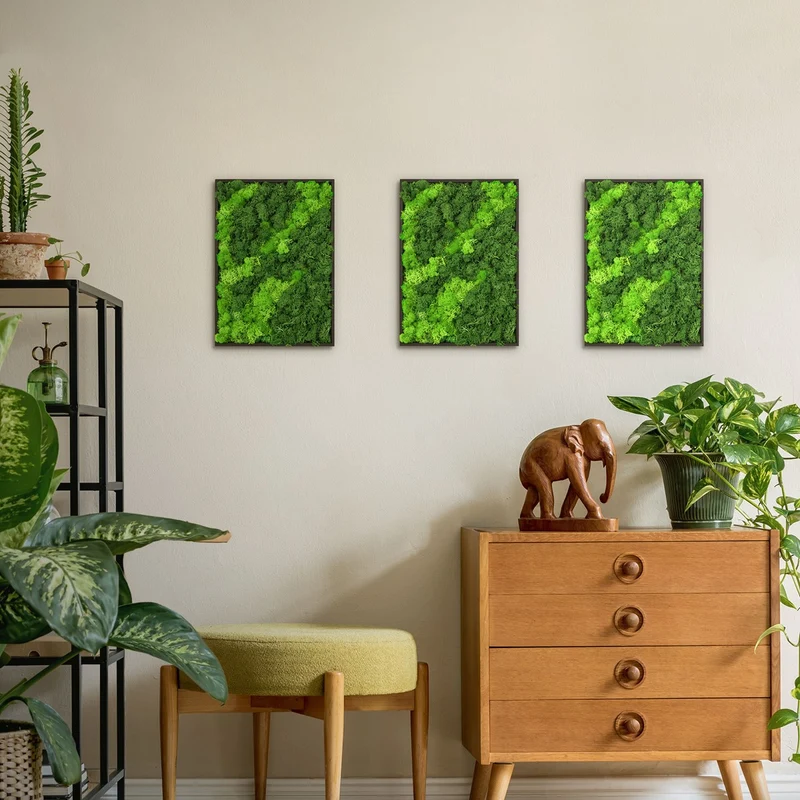 ECD GERMANY | Moosbild mit echtem Islandmoos, Rechteck, 38x27 cm, Grün, Mooswand Indoor, Wanddeko mit Holzrahmen, Wandbild, Moos Deko für Haus & Büro