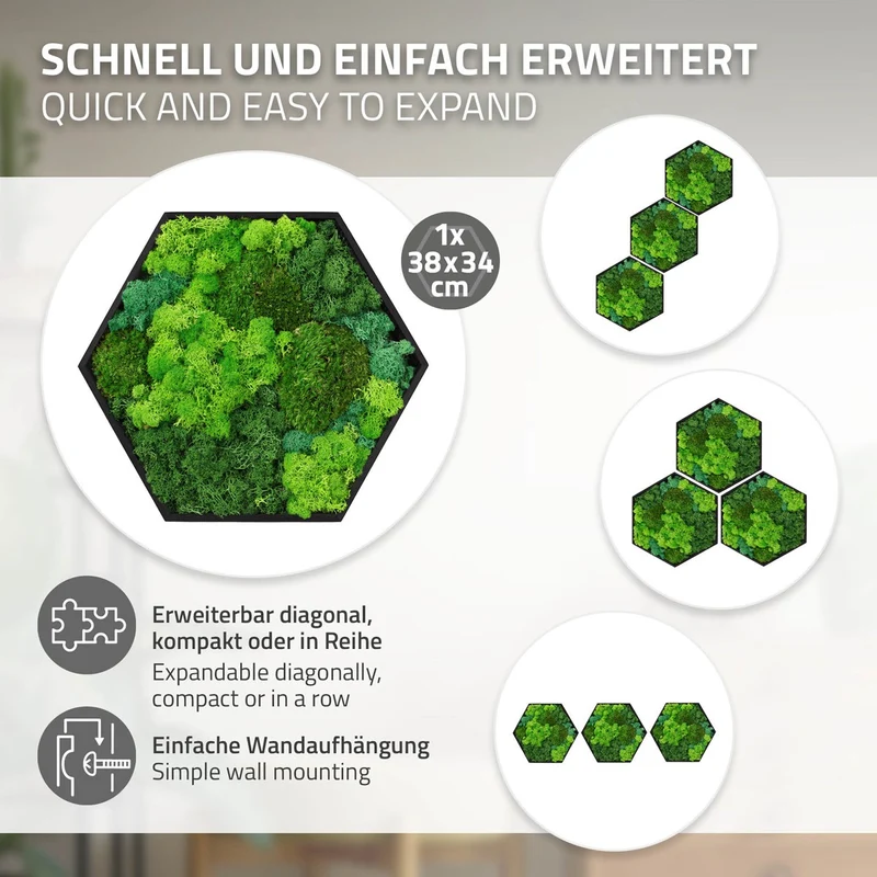 ECD GERMANY | Moosbild mit echtem Kugel-, Island- und Flachmoos-Mix Hexagon 38x34 cm Grün Mooswand Indoor Wanddeko Holzrahmen Wandbild für Haus Büro