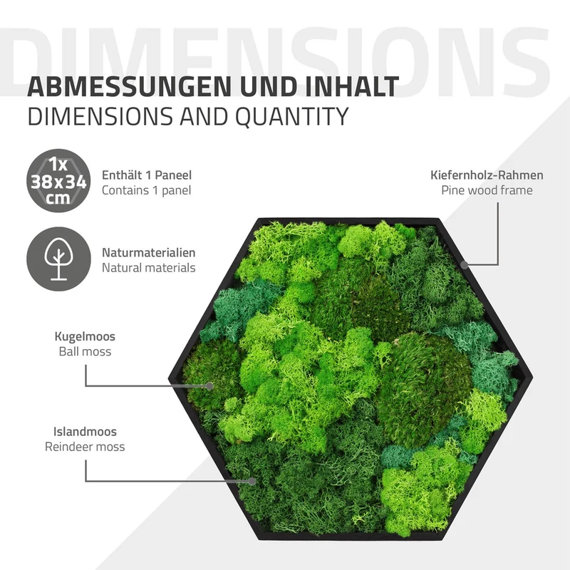 ECD GERMANY | Moosbild mit echtem Kugel-, Island- und Flachmoos-Mix Hexagon 38x34 cm Grün Mooswand Indoor Wanddeko Holzrahmen Wandbild für Haus Büro