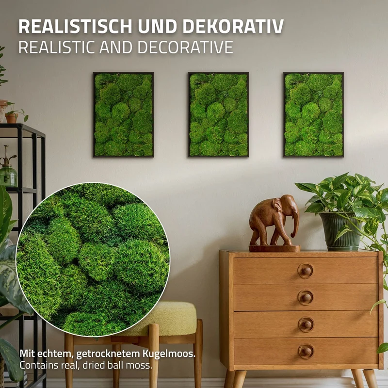 ECD GERMANY | Moosbild mit echtem Kugelmoos, Rechteck, 38x27 cm, Grün, Mooswand Indoor, Wanddeko mit Holzrahmen, Wandbild, Moos Deko für Haus & Büro