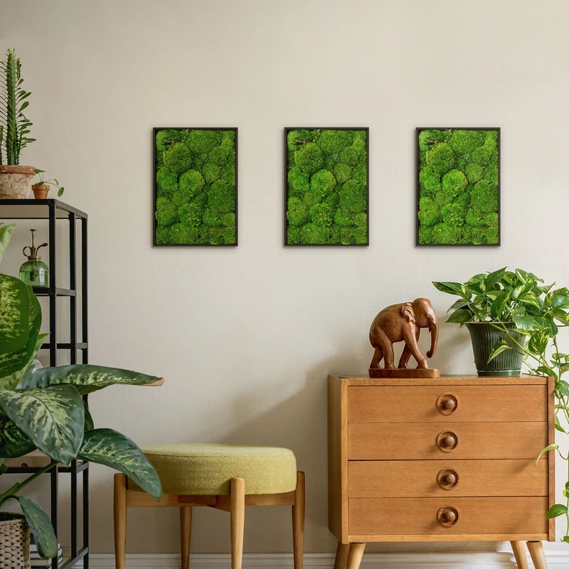 ECD GERMANY | Moosbild mit echtem Kugelmoos, Rechteck, 38x27 cm, Grün, Mooswand Indoor, Wanddeko mit Holzrahmen, Wandbild, Moos Deko für Haus & Büro