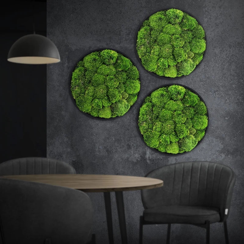 ECD GERMANY | Moosbild mit echtem Kugelmoos, Rund, Ø 40 cm, Grün, Mooswand Indoor, Wanddeko mit Holzrahmen, Wandbild, Moos Deko für Haus & Büro