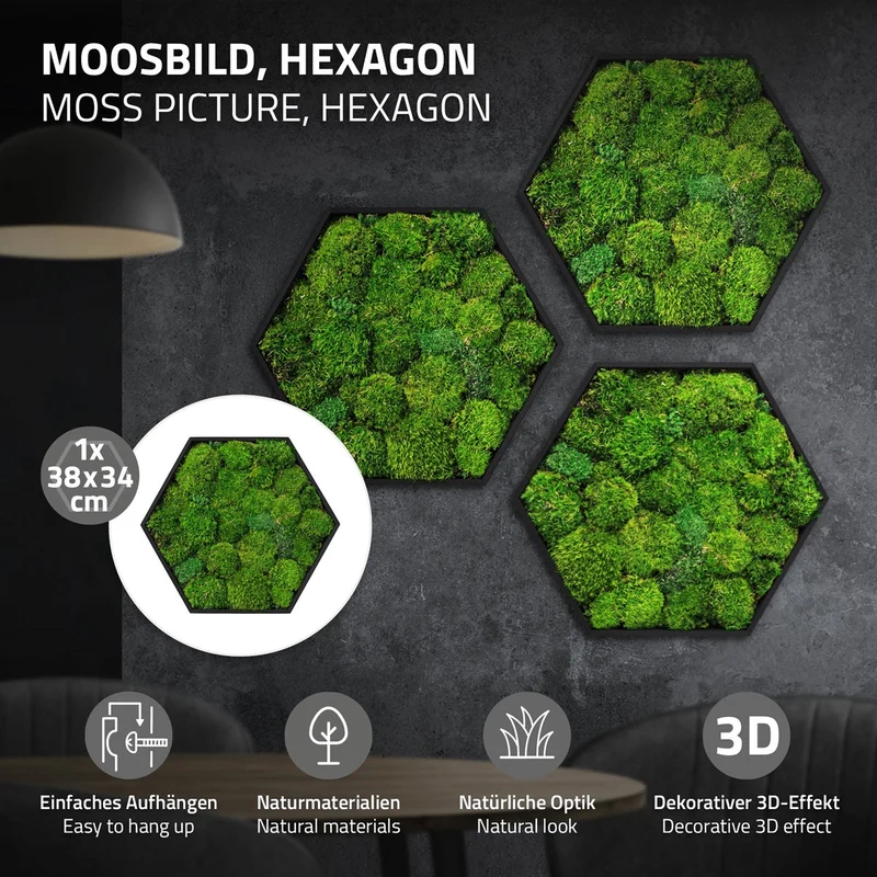 ECD GERMANY | Moosbild mit echtem Kugelmoos, Hexagon 38x34 cm, Grün, Mooswand Indoor, Wanddeko mit Holzrahmen, Wandbild, Moos Deko für Haus & Büro
