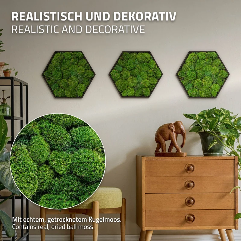 ECD GERMANY | Moosbild mit echtem Kugelmoos, Hexagon 38x34 cm, Grün, Mooswand Indoor, Wanddeko mit Holzrahmen, Wandbild, Moos Deko für Haus & Büro