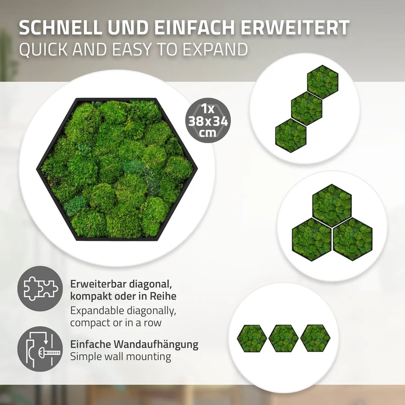 ECD GERMANY | Moosbild mit echtem Kugelmoos, Hexagon 38x34 cm, Grün, Mooswand Indoor, Wanddeko mit Holzrahmen, Wandbild, Moos Deko für Haus & Büro