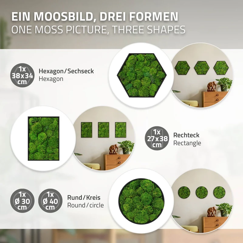 ECD GERMANY | Moosbild mit echtem Kugelmoos, Hexagon 38x34 cm, Grün, Mooswand Indoor, Wanddeko mit Holzrahmen, Wandbild, Moos Deko für Haus & Büro