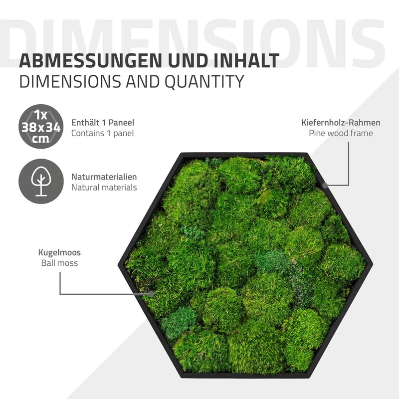 ECD GERMANY | Moosbild mit echtem Kugelmoos, Hexagon 38x34 cm, Grün, Mooswand Indoor, Wanddeko mit Holzrahmen, Wandbild, Moos Deko für Haus & Büro