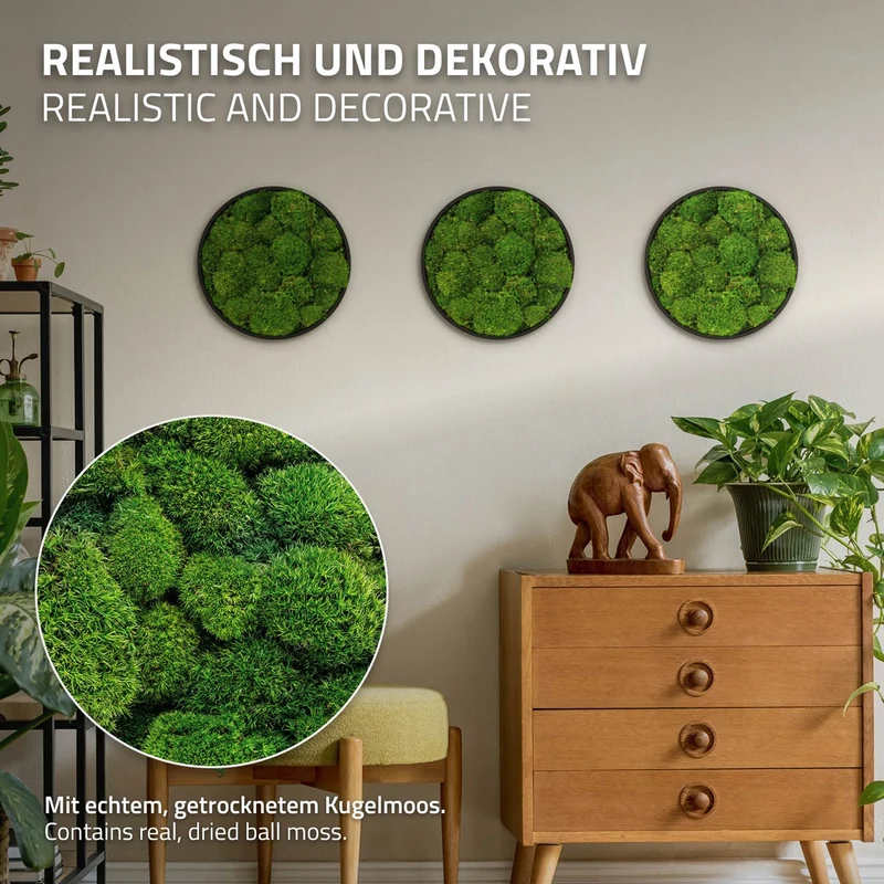 ECD GERMANY | Moosbild mit echtem Kugelmoos, Rund, Ø 30 cm, Grün, Mooswand Indoor, Wanddeko mit Holzrahmen, Wandbild, Moos Deko für Haus & Büro