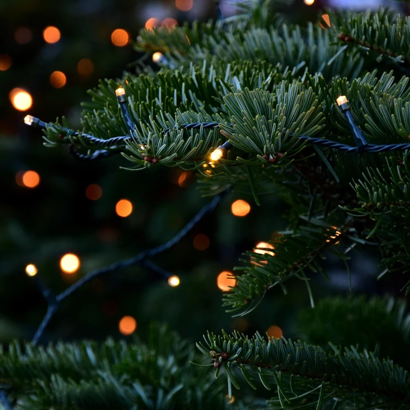ECD Germany | LED Lichterkette Außen Innen 20 m Warmweiß Weihnachtsbeleuchtung LED Cluster Büschellichterkette Weihnachten wetterfest 1000 LED Timer