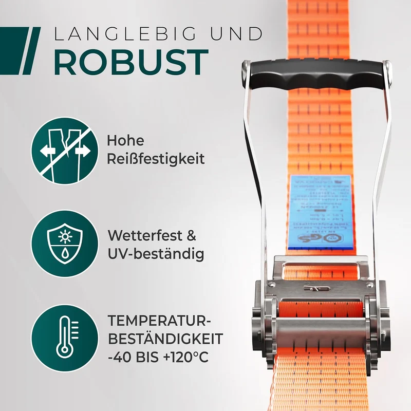 CargoVA 5000kg Ratschengurte - 2er bis 10er Pack - 4/6/10M - TÜV/GS & DIN