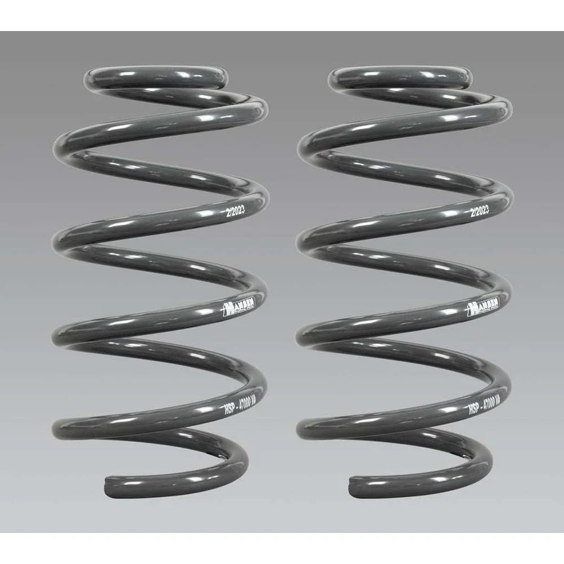 Höherlegungsfedern +40mm passend für VW T5 (2003-2015) & VW T6 (2015-2019)