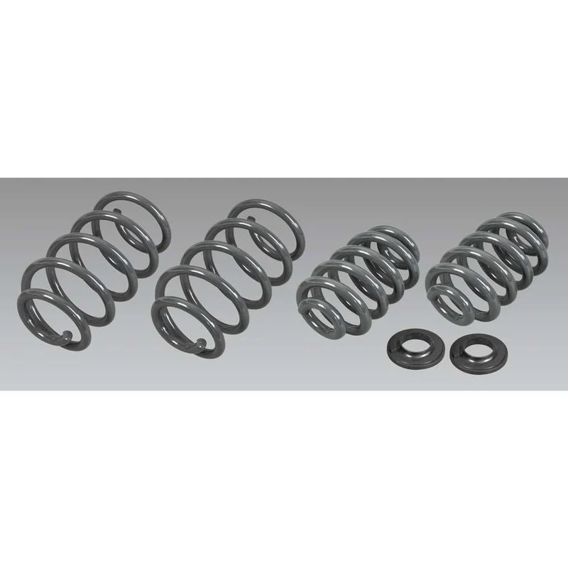 Höherlegungsfedern +40mm passend für VW T5 (2003-2015) & VW T6 (2015-2019)