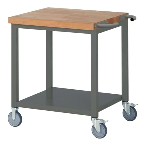 STIER Fahrbare Werkbank Premium mit Ablageboden BxTxH 750x700x880 mm