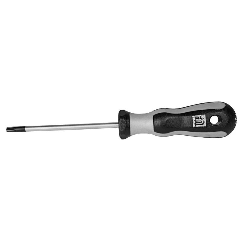 SW-Stahl Schraubendreher RX T-Profil T25 x 90 mm