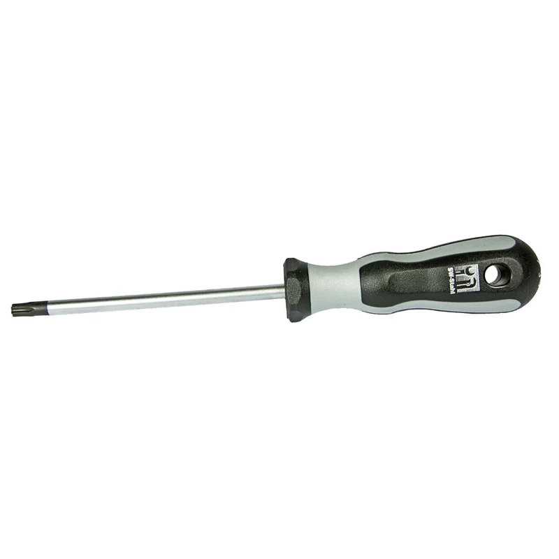 SW-Stahl Schraubendreher RX T-Profil T30 x 110 mm