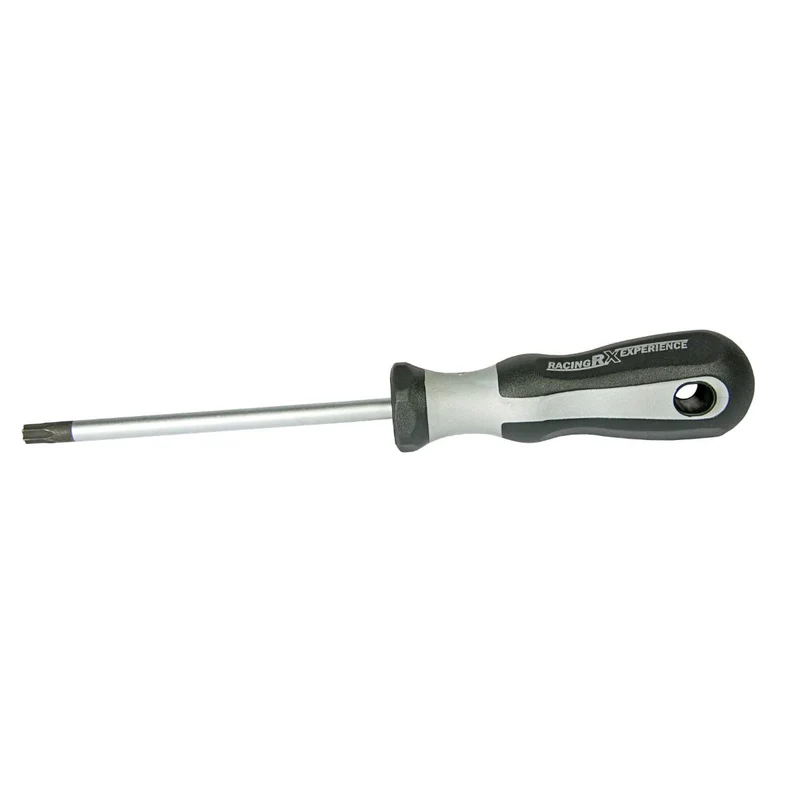 SW-Stahl Schraubendreher RX T-Profil T40 x 120 mm