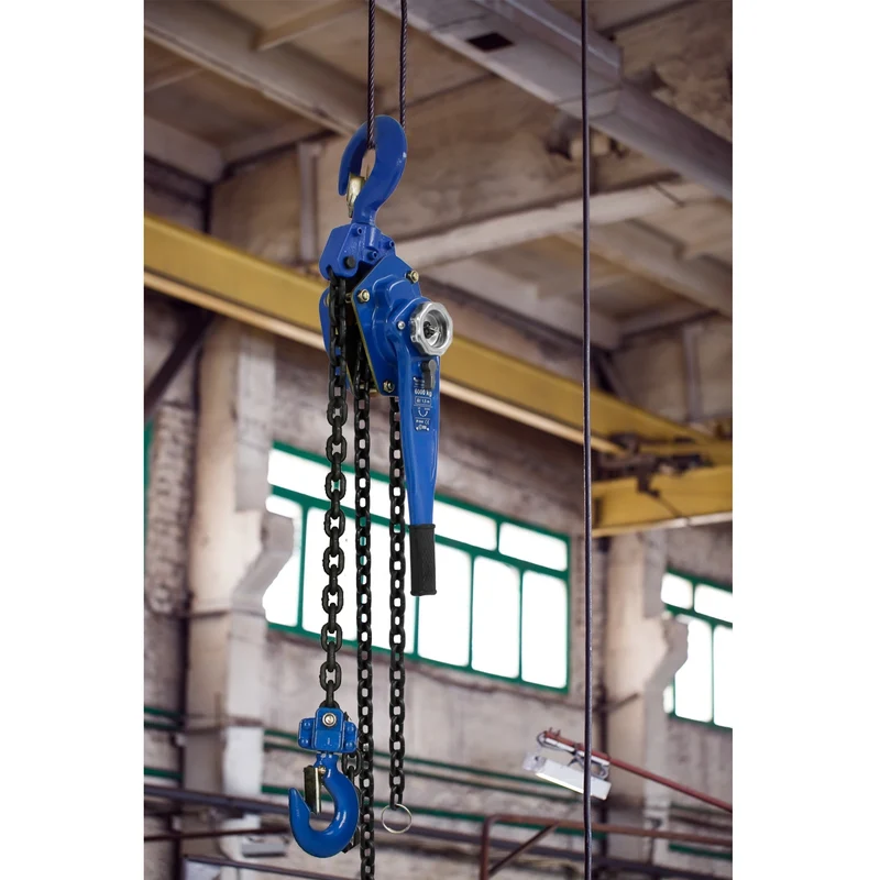 Kettenzug 6000 kg Hubhöhe 1.5 m mit Handhebel