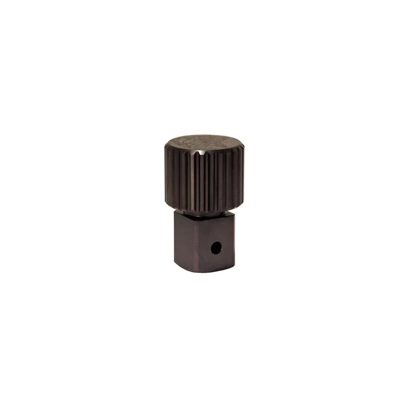 GEDORE Ersatzvierkant 1 Zoll inklusive Ring für DVI28 - E-VKR-DVI28