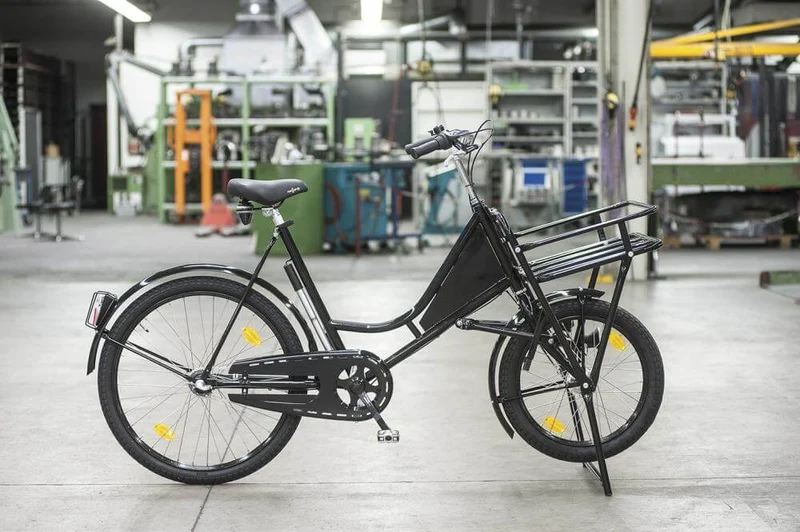 Cargo bike NEUTRAL, Classic black, gears with lighting and load carrier